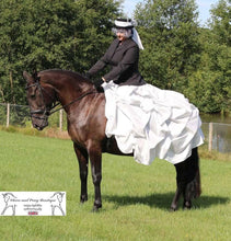 Load image into Gallery viewer, Ruched taffeta skirts